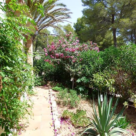 Cielo de Bonaire Villa Herdain מראה חיצוני תמונה