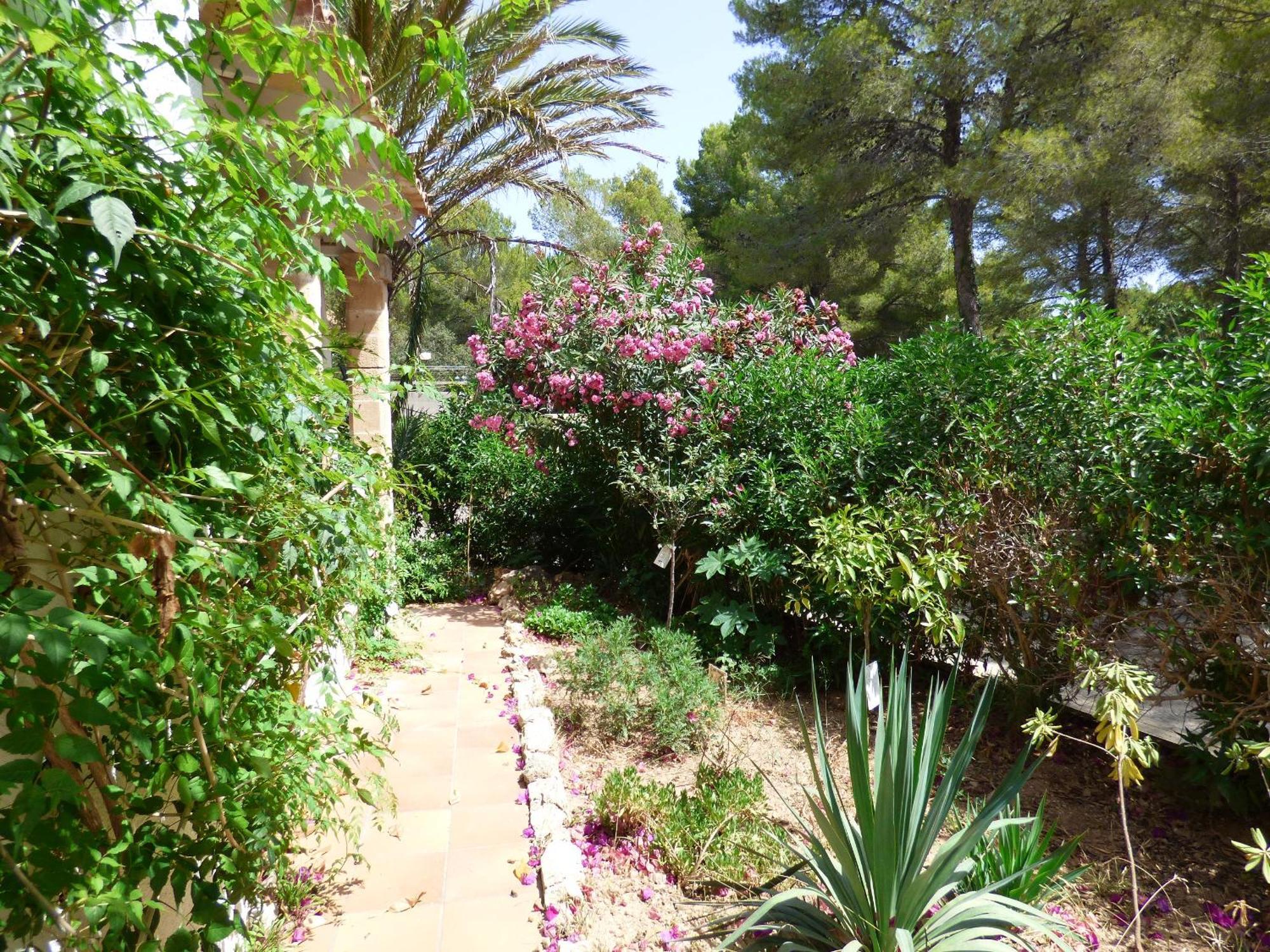 Cielo de Bonaire Villa Herdain מראה חיצוני תמונה